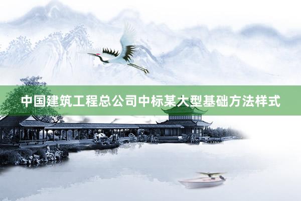 中国建筑工程总公司中标某大型基础方法样式